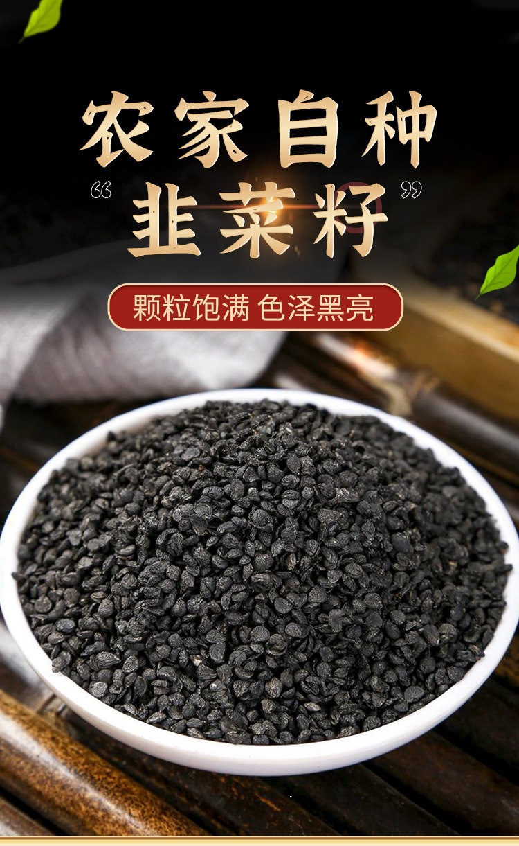 Chinese Chive Seed Jiu Cai Zi Roasted Dried Herb Traditional TCM Wellness Tea Ingredient overview