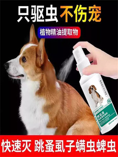؈���w����x����������\�x���xʭ����x��؈�������x���F����