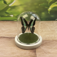 �����˱������ֳ�Ʒ΢���^�b[�����B��ֲ���������ɻ�����Y��