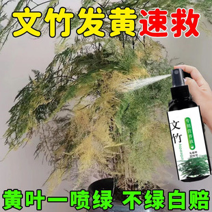 Dilution-free special fertilizer for bamboo nutrient solution universal liquid fertilizer for household potted plant