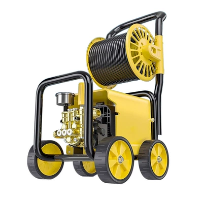 Car washing machine Cat Portable 220V Car