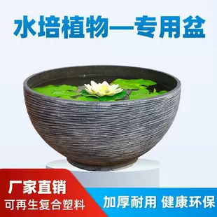 Product Media