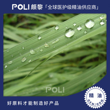 ӡ���M�ڙ�����é����ԭҺ�M�چη�����ԭ�����H����Ȼ���ʲݾ���