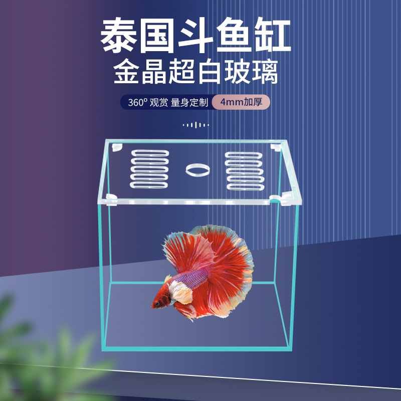 Thailand-exclusive Ultra-White Tank for Betta Fish | Compact Glass Betta Tank for Desktop Use | Mini Ultra-White Aquarium Designed for Livestreaming