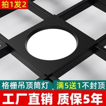 led格栅灯15x15嵌入式网格栅吊顶灯葡萄架灯方形筒灯斗胆射灯