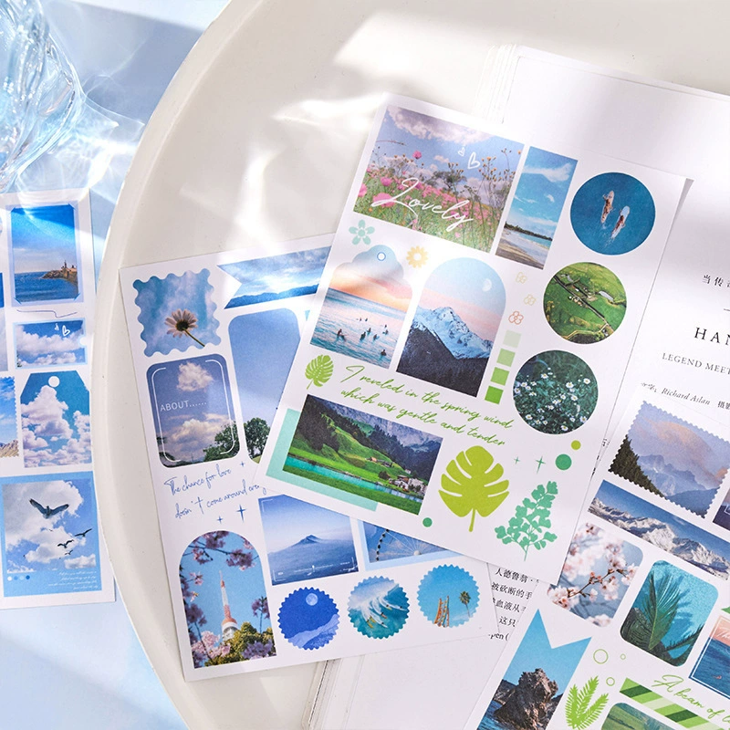 Стикер серии справочника Pickling the Journal Handbook Retro INS Salt Salt Salt Flower Sky Patching 30 листов