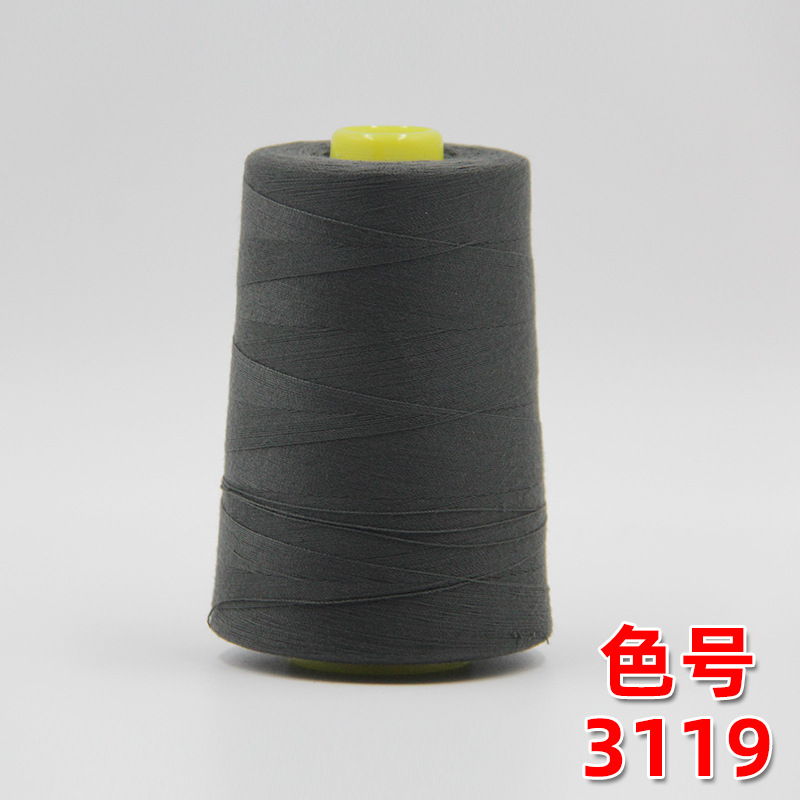 다크 그레이 3119