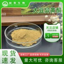 大豆异黄酮90%营养强化剂 食品级大豆胚芽提取物量大优惠1kg起订