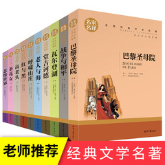 世界十大名著セット10冊の老人と海書正規版パリ聖母院原著郵便赤と黒