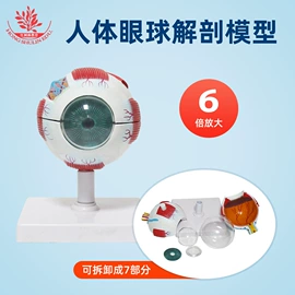 教学演示用品;生物教学器材;医药教学器材