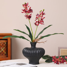 �¿������ˮ���m���~�m�� ��ˇ�쾰�ٻ���ļҾ��b[��