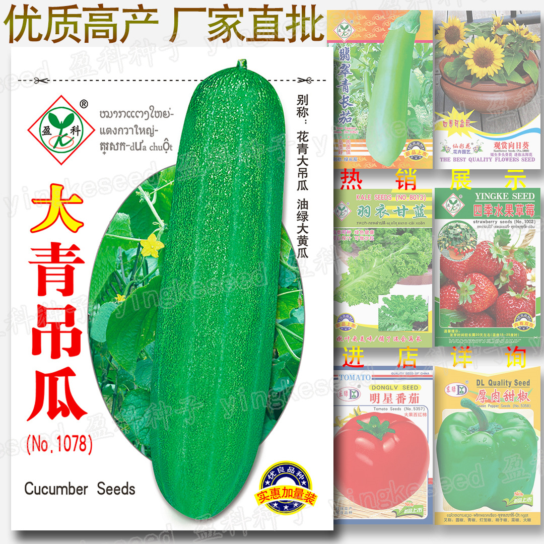 大青吊瓜种子 8克实惠加量装 蔬菜种子批发 花青大吊瓜油绿大黄瓜