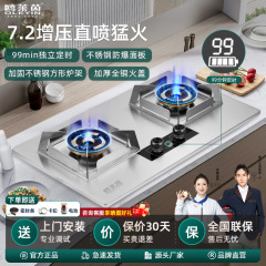 ガスコンロ家庭用天然ガスストーブターボ過給直噴ガスストーブ定時液化ガスストーブ卸売り