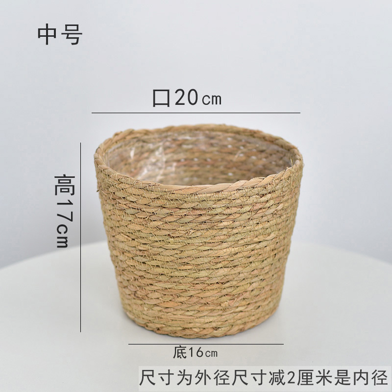蒲草口20款