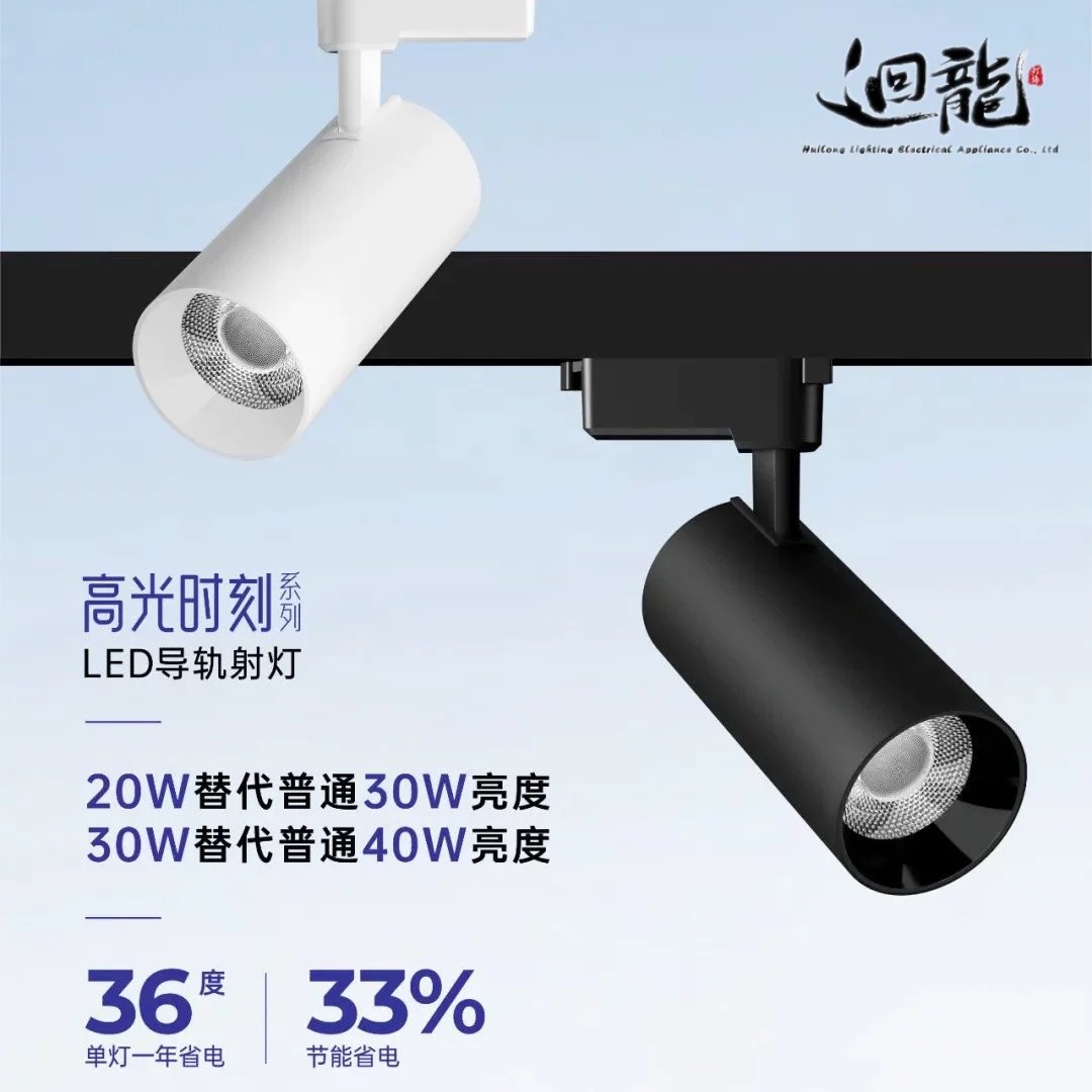 回龙澳浦APL20069B-30FG高亮高光效30W轨道灯射灯商用导轨灯