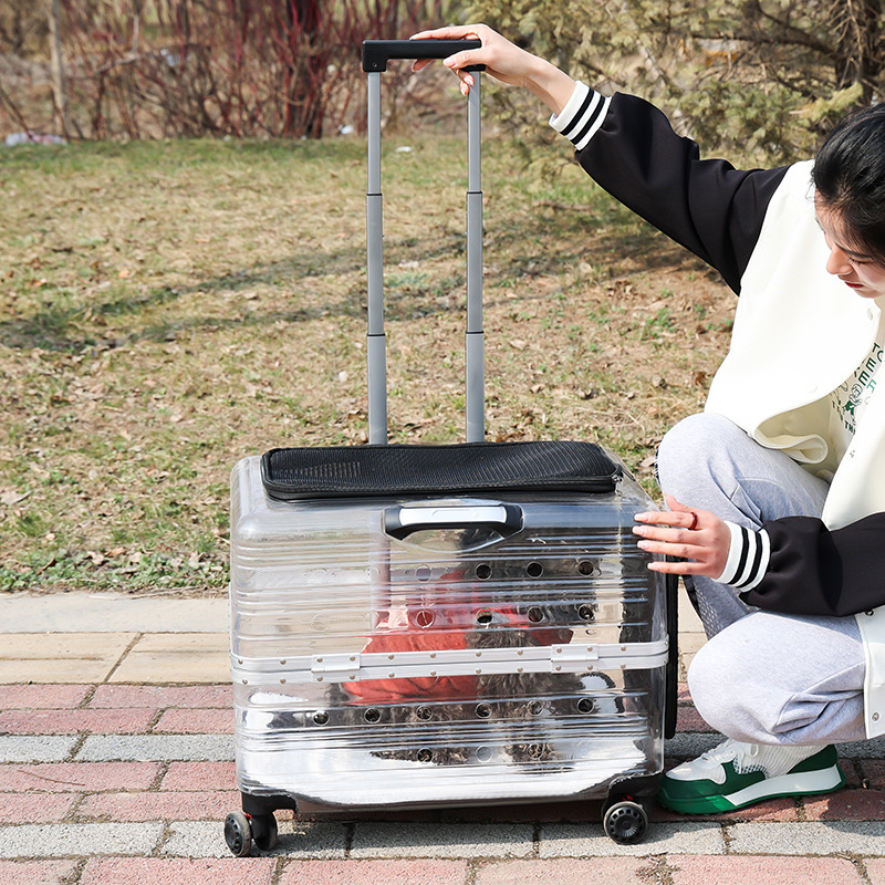 En stock nuevo PET caja grande PET caja de aire PC rueda universal pet trolley case Dog out bolsa portátil