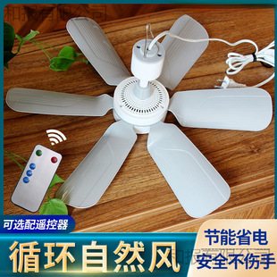 С���ȌW�������Î��o���L�ȴ������������L�ȴ��L��