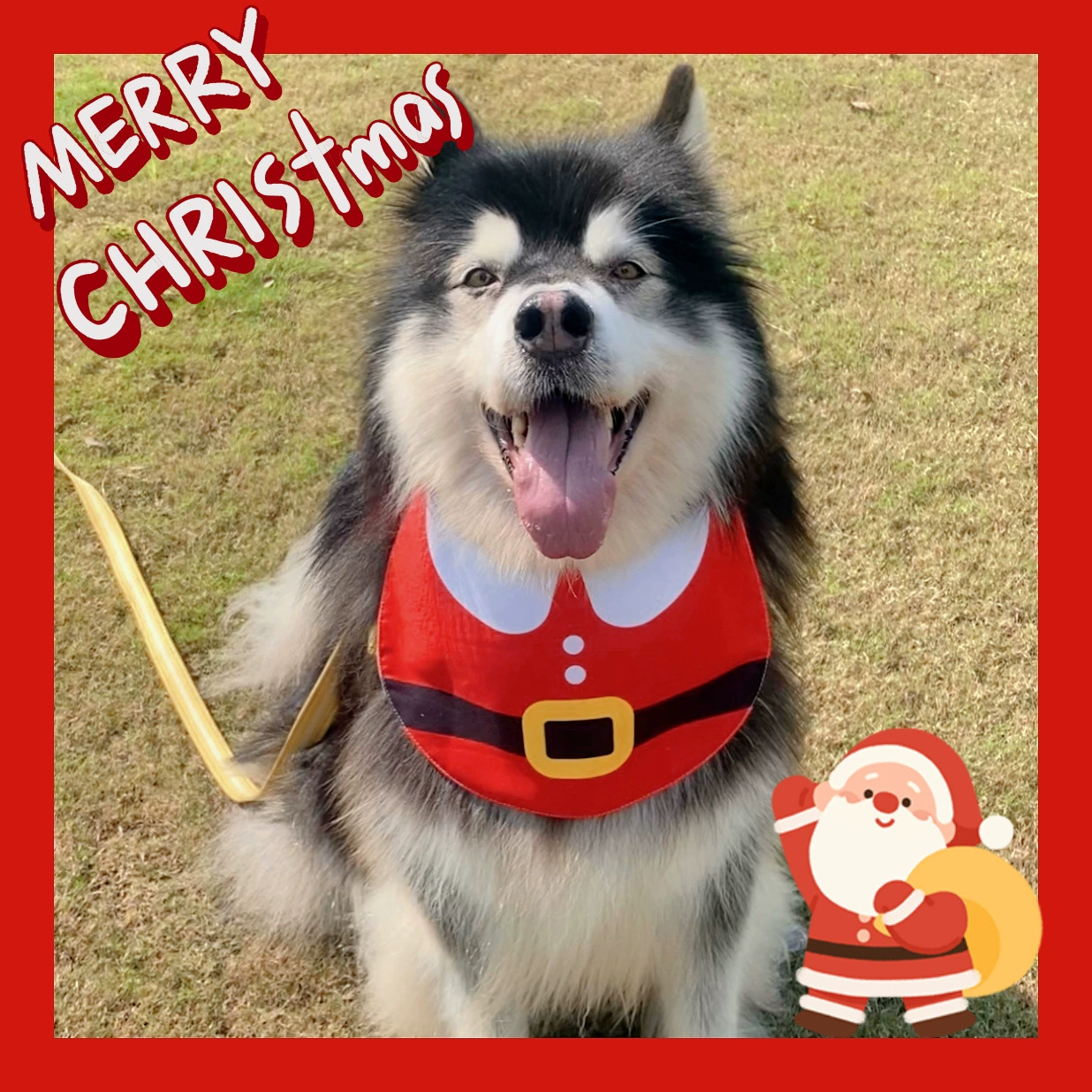 Merry Christmas Рождественская модель