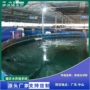 南美洲高科技路基水产白对虾