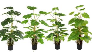 ���洺�������҃�ϲ�����쾰�Ҿ��b[���Gֲ�^���~ֲ���������