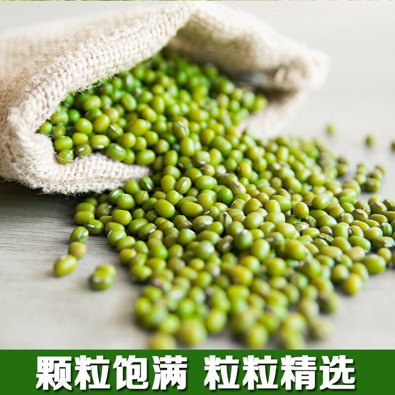 绿豆5斤 农家自产小绿豆500g新鲜豆芽笨绿豆绿豆糕五谷杂粮粥批发|undefined