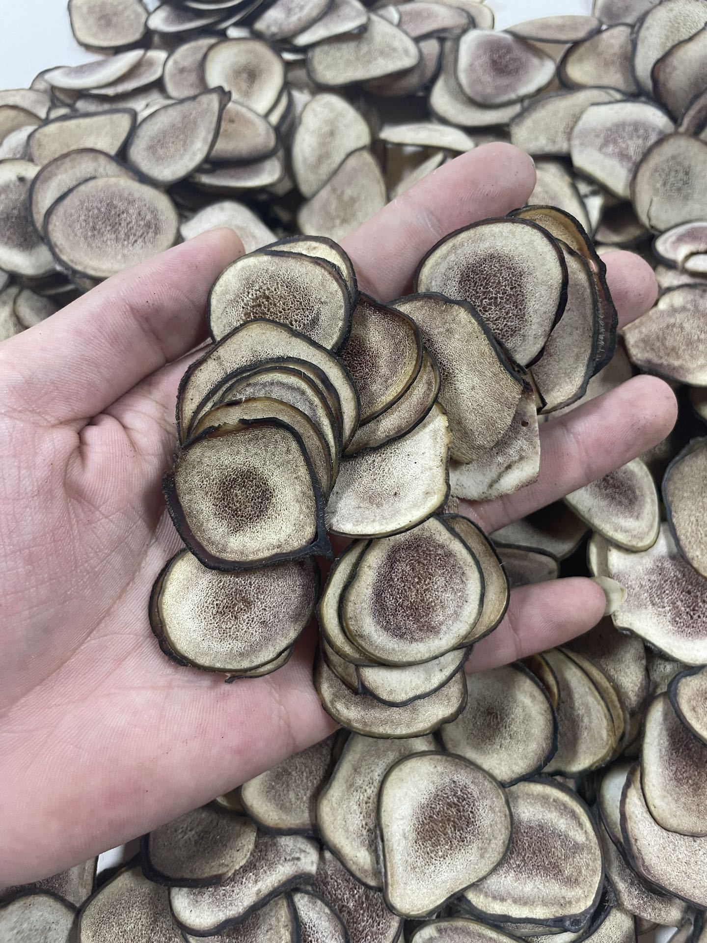 Dried Deer Antler Slices Xue Sha Pian Jilin Origin Traditional Herbal Decoction Pieces 10g specifications