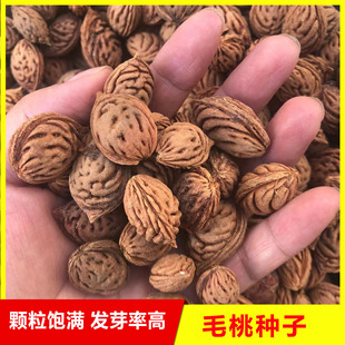 ë�ҷN�� �Ҙ�N�� Ұ��ë����  ë�Ҙ��Ѽ޽�÷�������ľ����