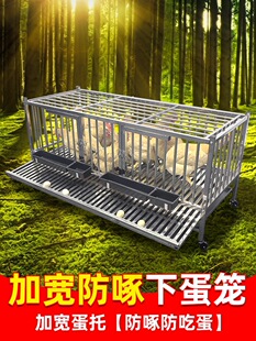 �¿�P��u�\�ԄӝL���u�\�����Bֳ�u�Cĸ�u�µ��\�Ӽӌ����ĵ�