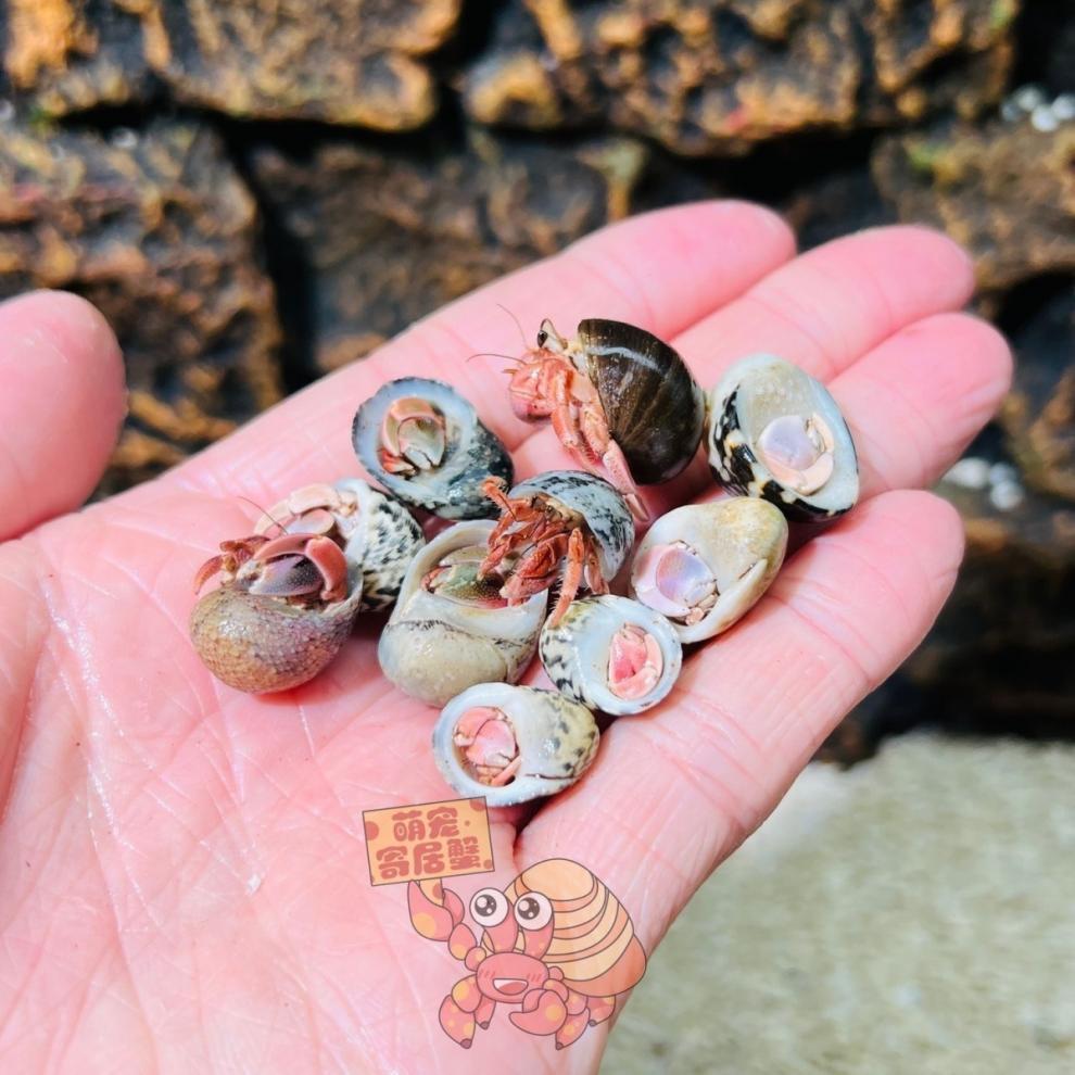 b5076b5b-cec0-4578-ac16-763c637fbccf.jpe