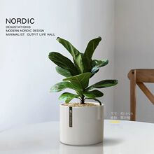 ���~�ű��WС��������Gֲins�L�k����ֲ���҃��ļ������ͻ���