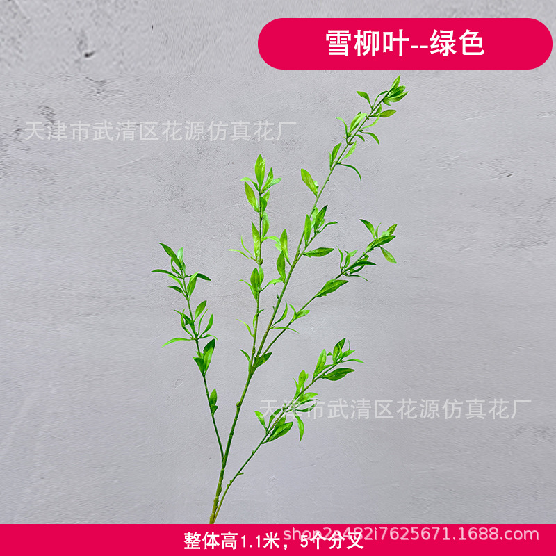 눈 버드나무 잎 - 녹색