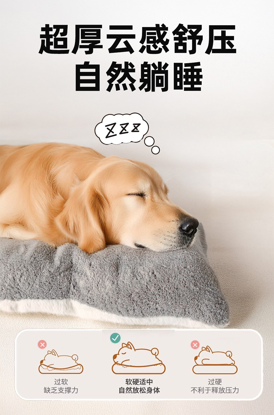 e48582df-9f47-413f-9a9f-be63ec215c06.jpe