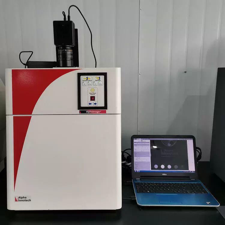 Alpha lnnotech Chemical Luminous Gel Imager Alpha UV Analyzer