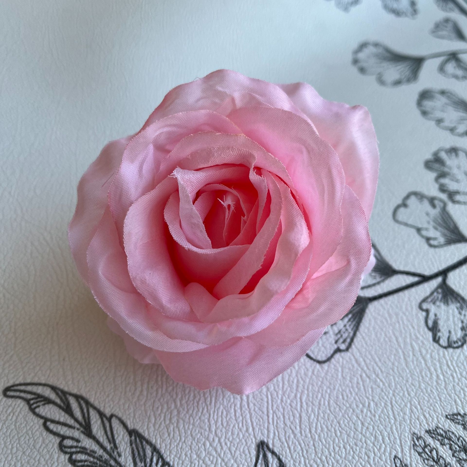 855aa6f70c9bdebfebbba7389e1e83