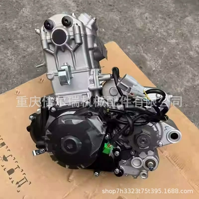 Zongshen Nc250 Zs177Mm Engine assembly