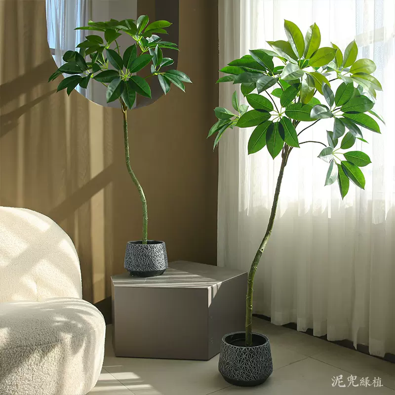 仿真绿植保罗大叶伞假绿植室内装饰诧寂风轻奢假花树软装摆设批发