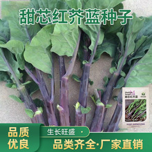 ���ļt�_�Ͻ��m�˷N�ӷN�Ѽt���Ͻ��{���Ѳ����ļ��߲˷N�ݴ�