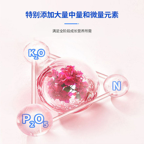Bougainvillea nutrient solution promotes flowering, prevents yellowing leaves, and sprays large flowers and blooms in all seasons. Special fertilizer for bougainvillea wholesale.