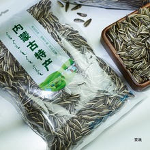 ǧɹԭζFӿӴw2024؛