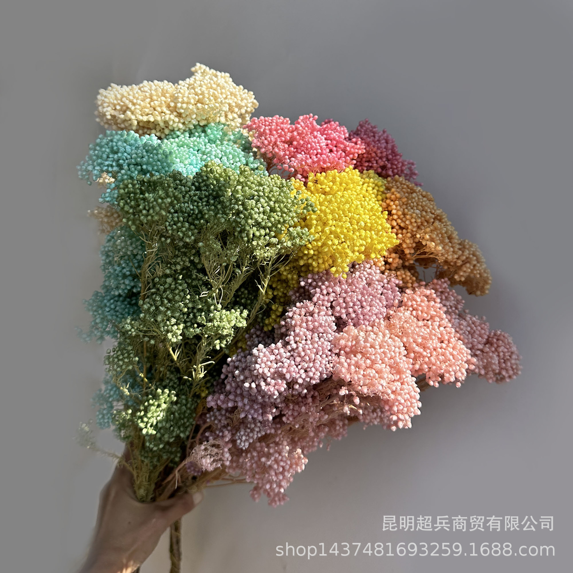[Flower Flower Discount Area] Eternal Rice Flower