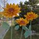 Creative handmade paper flower poppy flower sunflower large silk flower silk flower wedding scene window layout