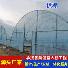 农业薄膜蔬菜种植拱棚 花卉瓜果简易温室大棚厂家设计安装