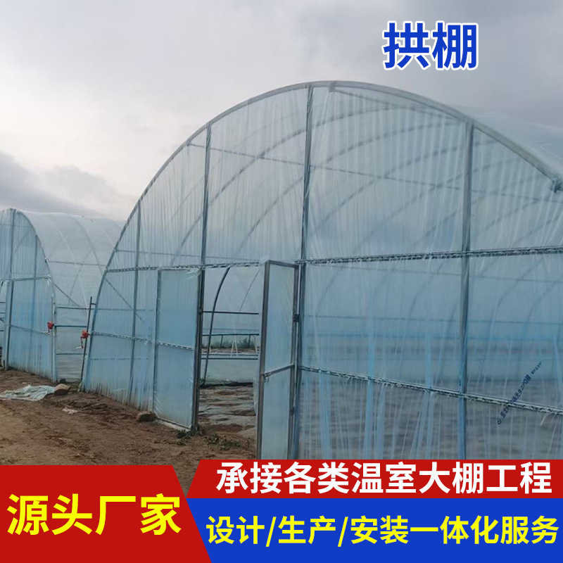 农业薄膜蔬菜种植拱棚 花卉瓜果简易温室大棚厂家设计安装