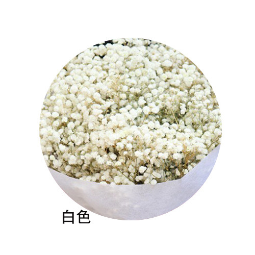 ネイルアートの乾いた花の永遠の命の満天の星の花束は顔の化粧の爪のアクセサリーの光を貼ることができます。|undefined