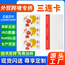 �����Q�羳Ʒ�����B����DODUV���aһ�S�l�a���T�����B��PVC���ο�