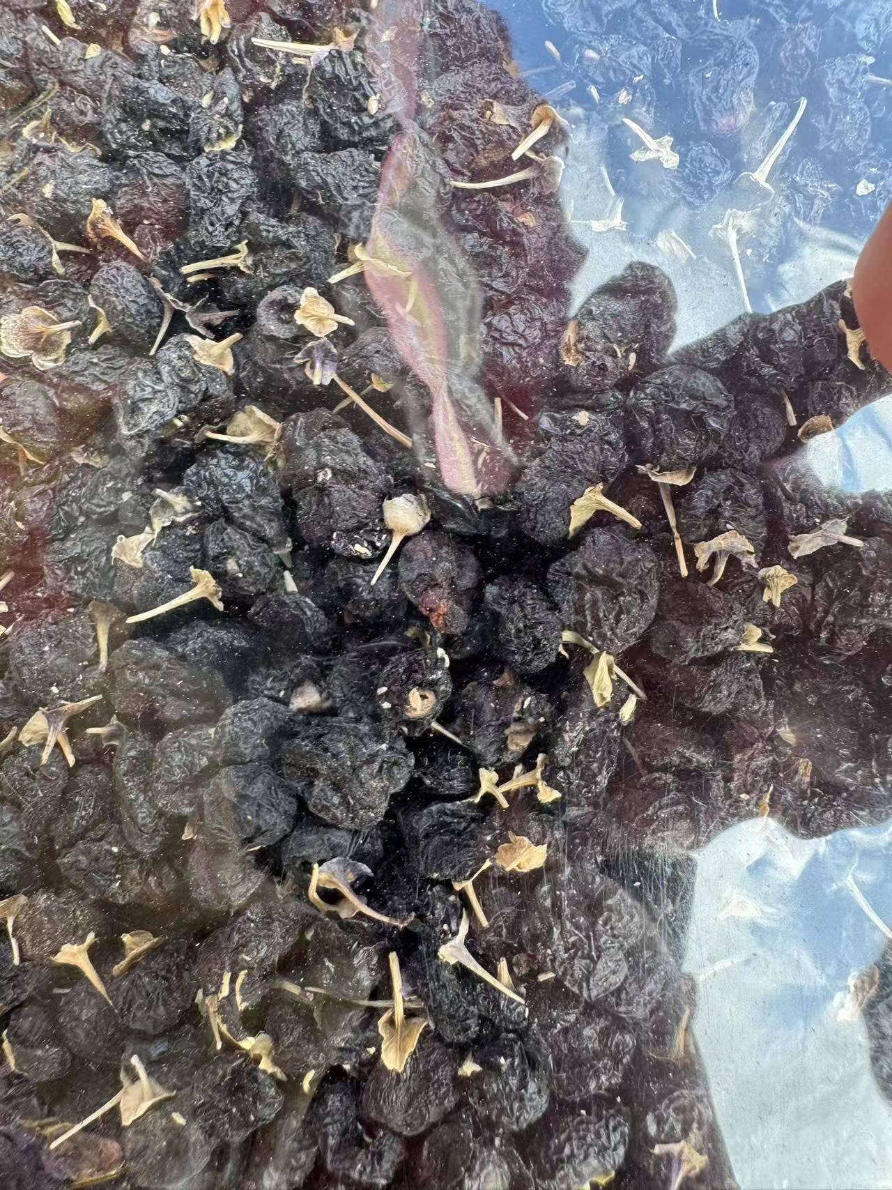 Black Goji Berries Hei Gou Qi Dried Whole Berries for Tea and Soup 1000g Bag Qinghai Premium Grade details