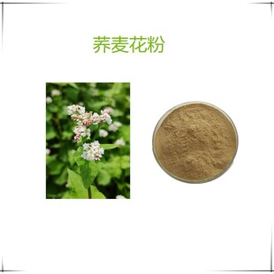 �w������  ���F�����w����������   2��������  �ɰl��