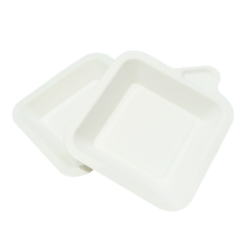 Disposable Sugarcane Fiber Plates, Biodegradable Thickened Square/Rectangular, Pack and Bulk