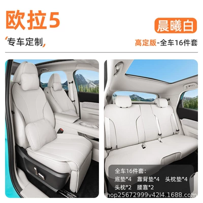 Suitable for Ora 5 seat: Seat cushion, seat cover - dawn-white-high-end-edition16-piece-set-full-car-seat-cushions-headrests-and-lumbar-supports2-euler-5