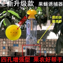 果蝇诱捕器果实蝇捕抓捉容器瓜果蔬菜花卉防虫诱虫性诱剂药水针蜂